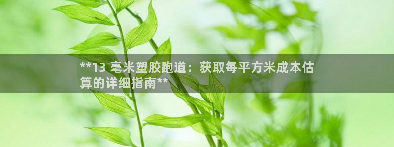 尊龙这个平台怎么样：**13 毫米塑胶跑道：获取每平