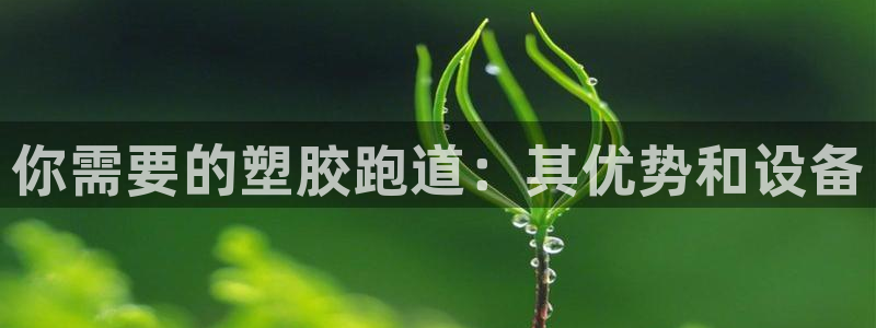 尊龙凯时提款冻卡吗：你需要的塑胶跑道：其优势和设备