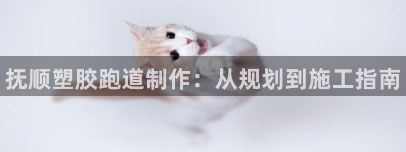 最新凯时官网网址：抚顺塑胶跑道制作：从规划到施工指南
