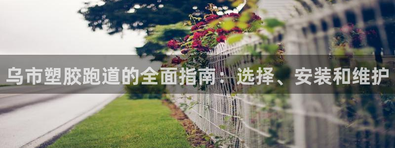 尊龙旗舰店：乌市塑胶跑道的全面指南：选择、安装和维护