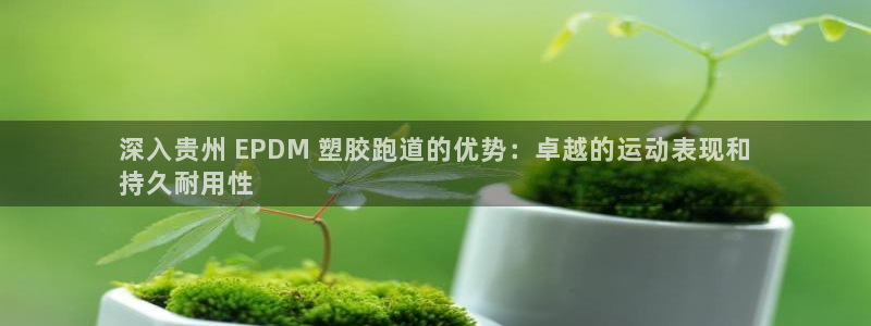 尊龙集团有限公司地址：深入贵州 EPDM 塑胶跑道的