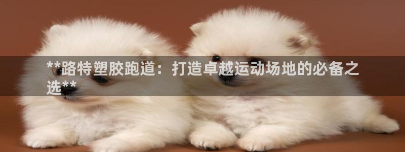 凯时国际app首页下载：**路特塑胶跑道：打造卓越运动场地的必备之
选**