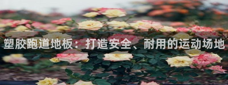 凯时ag旗舰厅登录：塑胶跑道地板：打造安全、耐用的运动场地