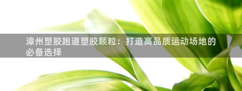 尊龙官方APP下载：漳州塑胶跑道塑胶颗粒：打造高品质
