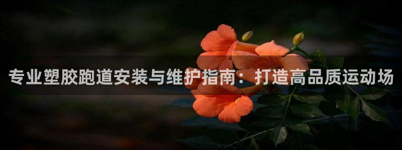 尊龙凯时人生就是搏技术实力：专业塑胶跑道安装与维护指南：打造高品质运动场