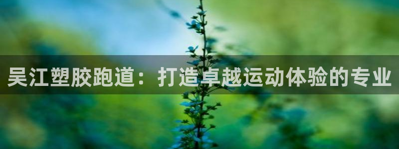 尊龙凯时的最新消息：吴江塑胶跑道：打造卓越运动体验的