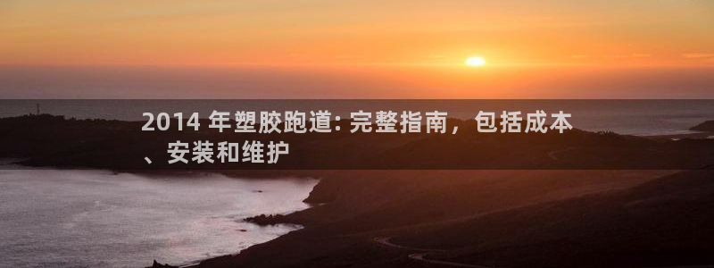 尊龙人生就是博：2014 年塑胶跑道: 完整指南，包