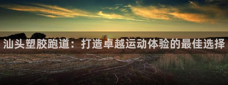 尊龙ag旗舰厅登陆：汕头塑胶跑道：打造卓越运动体验的最佳选择