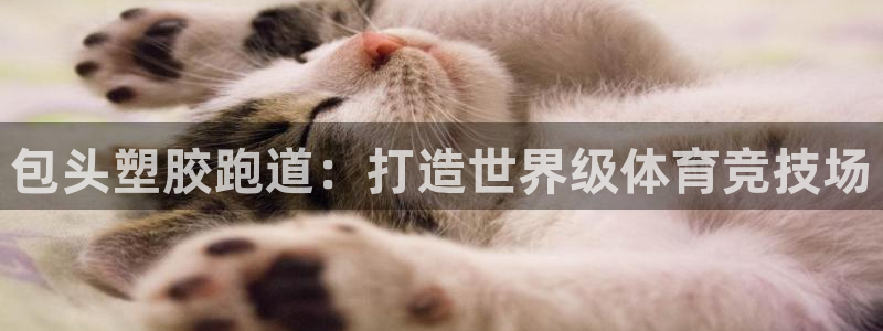 凯时k66会员登录：包头塑胶跑道：打造世界级体育竞技