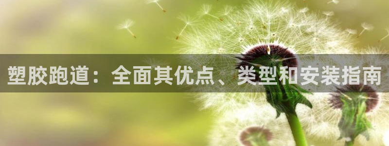 尊龙ag旗舰厅登录 租车app下载：塑胶跑道：全面其优点、类型和安装指南