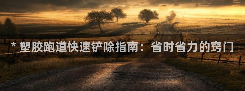 尊龙凯时怎么样没听说过：* 塑胶跑道快速铲除指南：省时省力的窍门