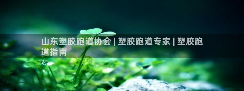 尊龙软件下载：山东塑胶跑道协会 | 塑胶跑道专家 |