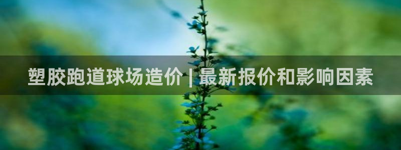 尊龙怎么没消息了：塑胶跑道球场造价 | 最新报价和影