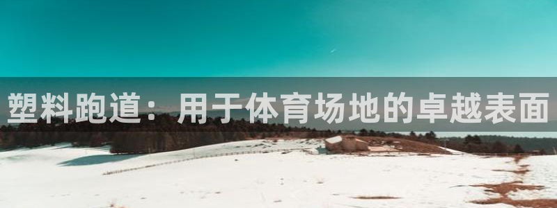 尊龙官方app下载：塑料跑道：用于体育场地的卓越表面