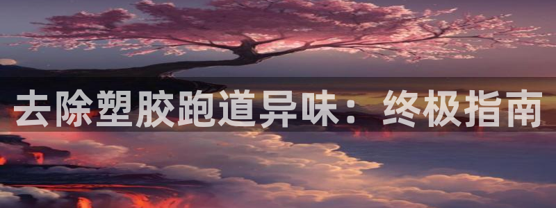 尊龙凯时输钱的原因：去除塑胶跑道异味：终极指南