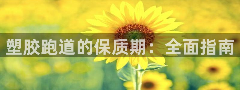 凯时效果怎么样：塑胶跑道的保质期：全面指南