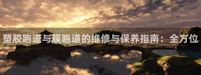 尊龙目前情况：塑胶跑道与膜跑道的维修与保养指南：全方位