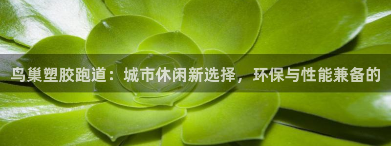 尊龙凯时出款