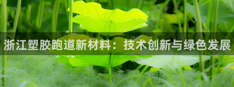 尊龙凯时老板