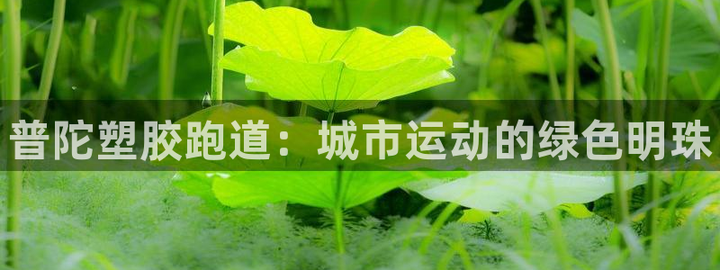 ag尊龙官方网站app