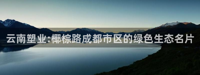 ag尊龙官方网站app