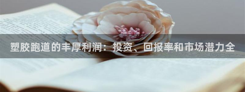 尊龙d88官网可靠送38元：塑胶跑道的丰厚利润：投资、回报率