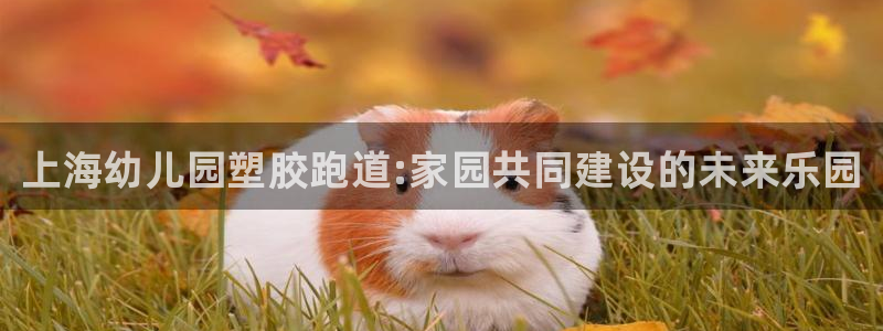 尊龙凯时有封银行卡的吗