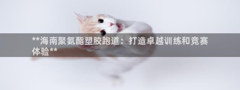 尊龙得过奥斯卡吗：**海南聚氨酯塑胶跑道：打造卓越训