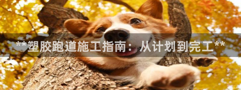 尊龙凯时人生就是博中国官网