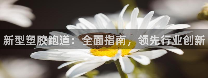 尊龙AG旗舰厅app下载：新型塑胶跑道：全面指南，领