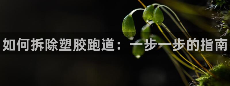 尊龙凯时法拉币：如何拆除塑胶跑道：一步一步的指南