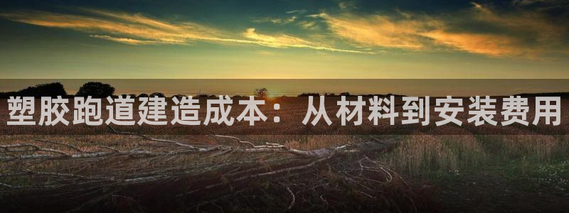 尊龙凯时下载人生就是博：塑胶跑道建造成本：从材料到安装费用