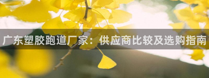 尊龙凯时的最新消息