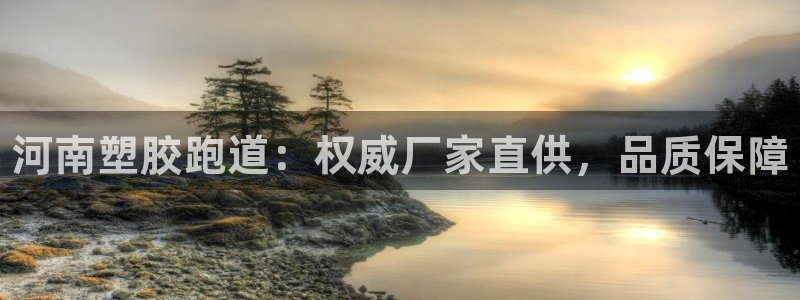 尊龙凯时城娱乐：河南塑胶跑道：权威厂家直供，品质保障