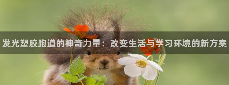 d88尊龙平台开户