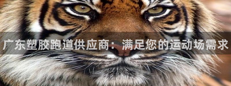 尊龙服饰品牌介绍