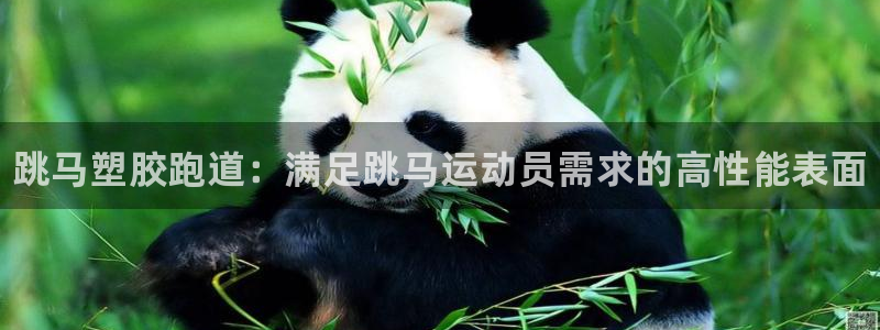 z6com尊龙凯时百家乐：跳马塑胶跑道：满足跳马运动员需求的高性能表面