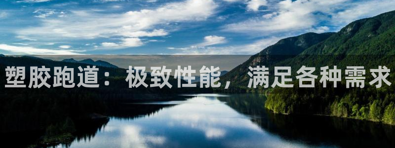 尊龙在线登录官网：塑胶跑道：极致性能，满足各种需求