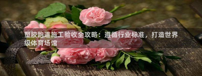 尊龙官方网站：塑胶跑道施工验收全攻略：遵循行业标准，打造世界